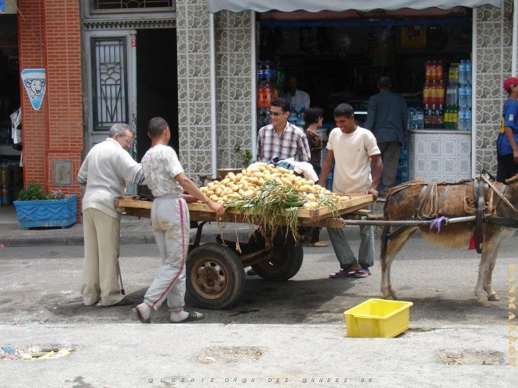 oran 078.jpg